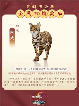 刺客天龙八部外传私服